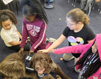 A group of children engaging with a therapy dog in a classroom setting.