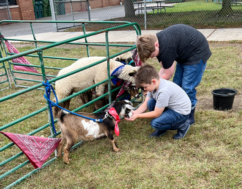 Two children petting and feeding goats at a fenced pen on a grassy field.